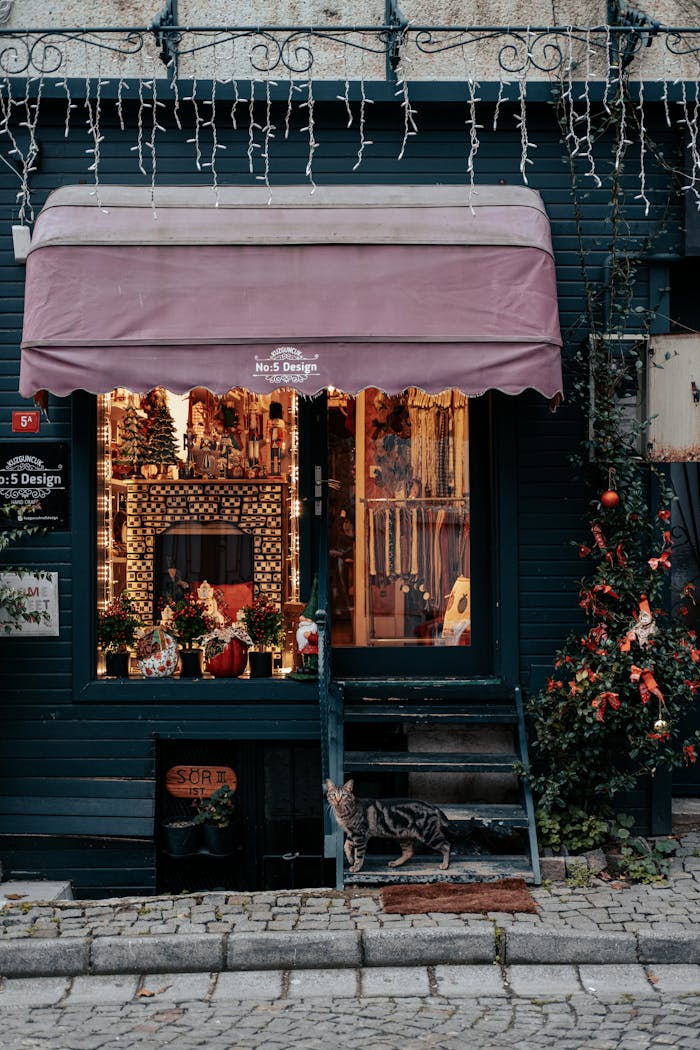 Festively decorated shop exterior with lights and a cat on cobblestone sidewalk.